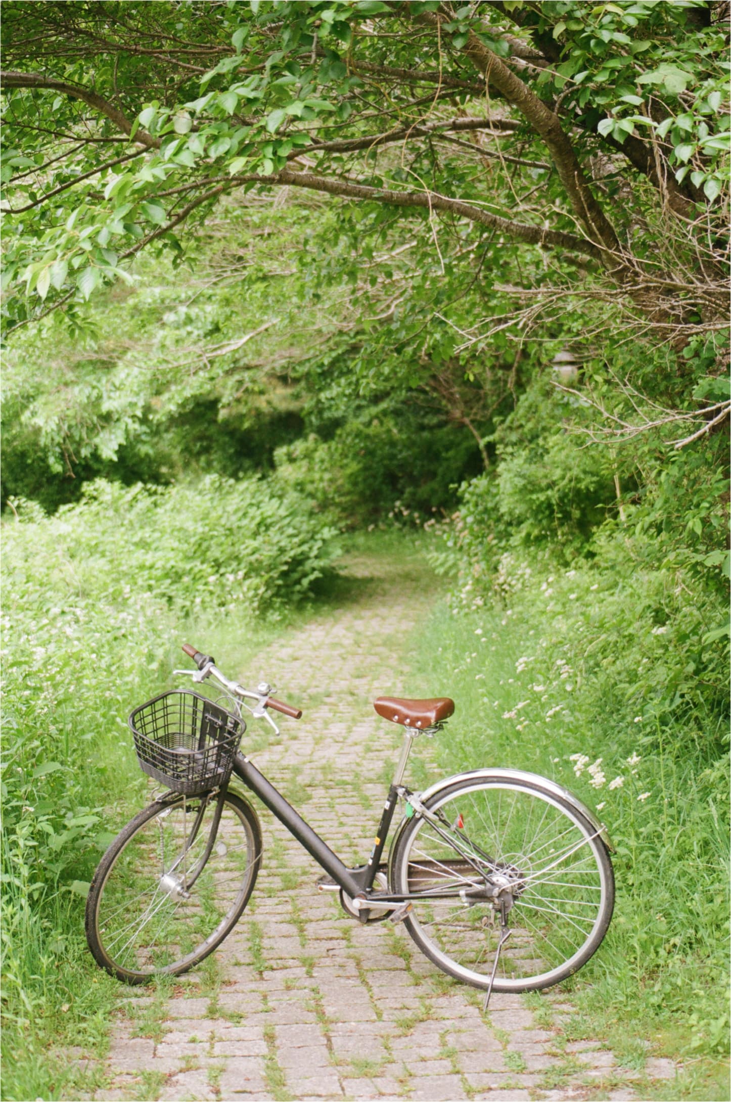 Lake Kawaguchi Bike Loop